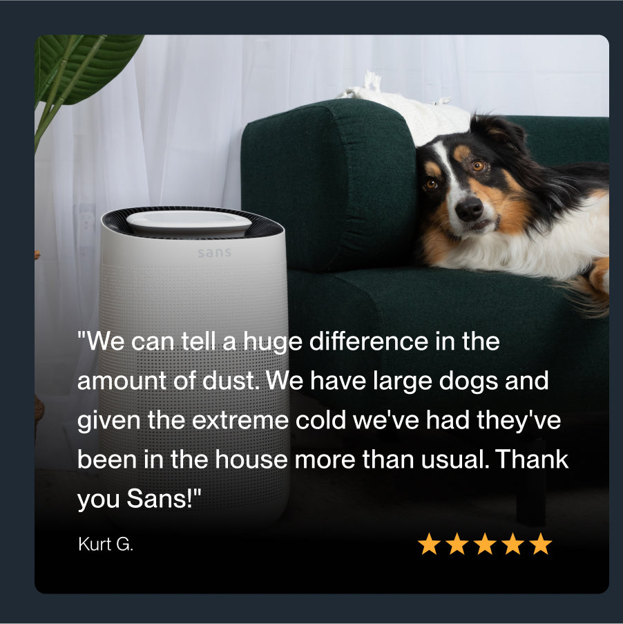 Sans Air Purifier